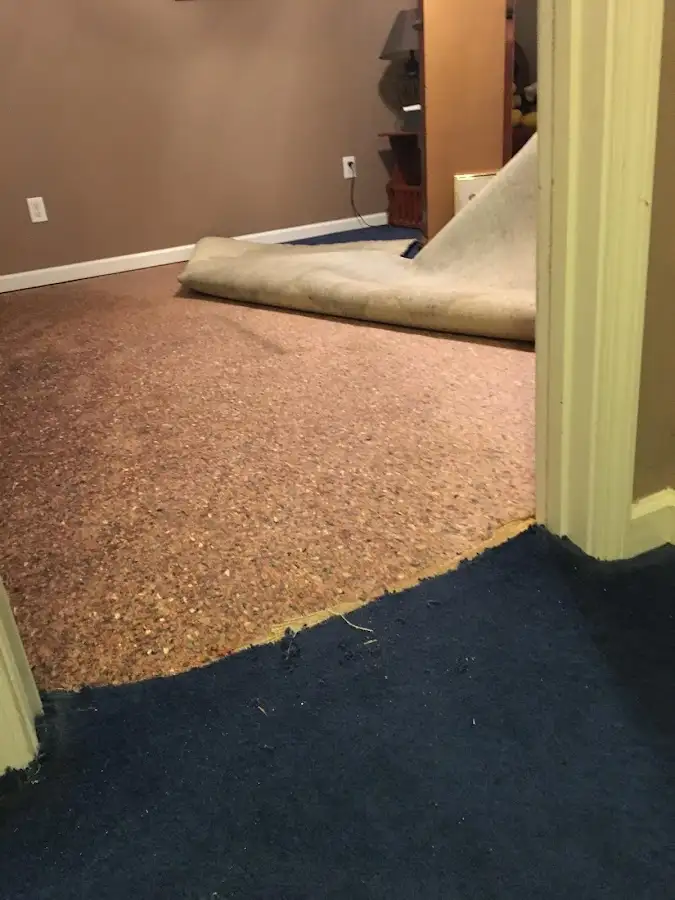 Carpet pad removal revealing water damage during Drying & Dehumidification in Delta