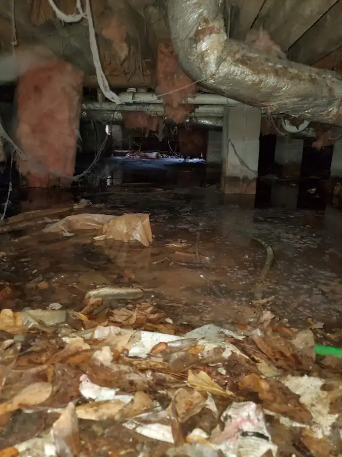 Crawl space flood assessment for Commercial Water Damage Restoration in Delta